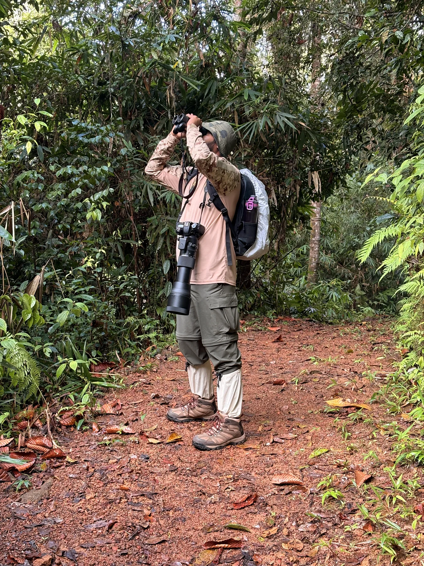 Sahan photographing wildlife in a rainforest